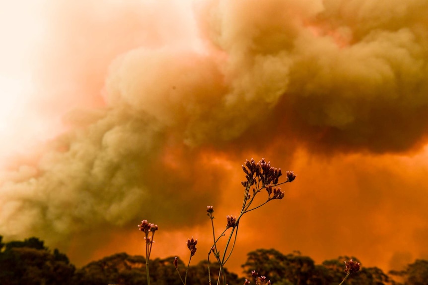 Smoke plumes pouring out near Bilpin on Thursday.