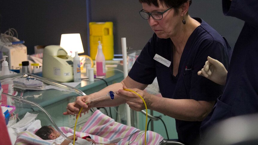 Nurse Eszter Josza treats a premature baby