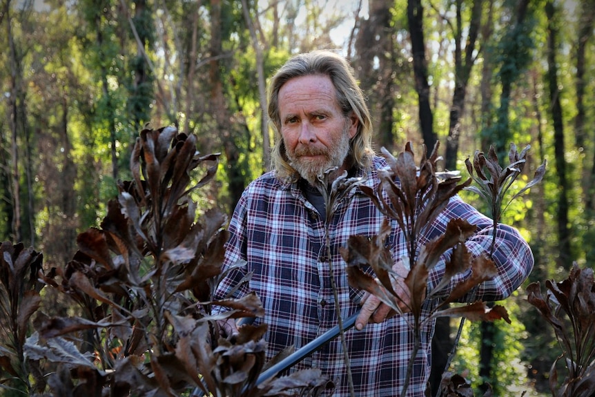 Protea flower farmer Gerard McLaughlin is starting again from scratch after the fire tore through his farm at Conjola