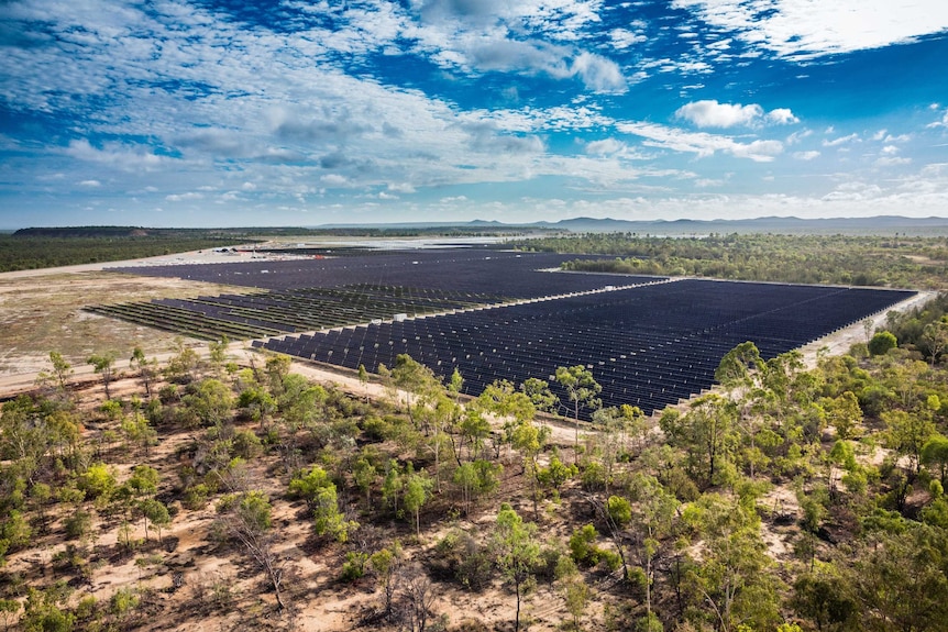 A field of solar panels at Kidston