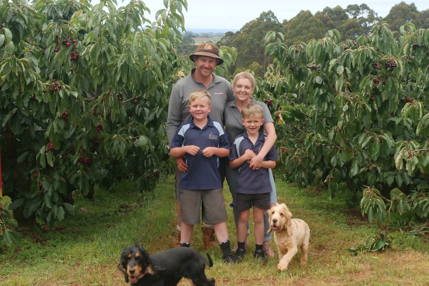 A smiling family consisting of mum, dad, two sons and two dogs standing in front of their cherry orchard.