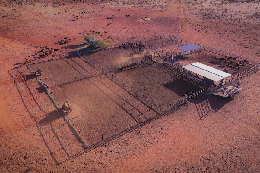 A drone image of farm and cattle on red dirt.