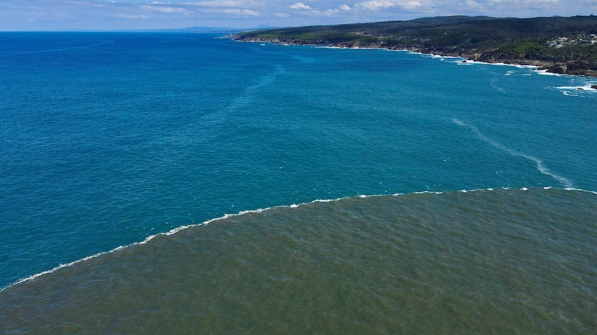 A white line divides ocean water and river water.