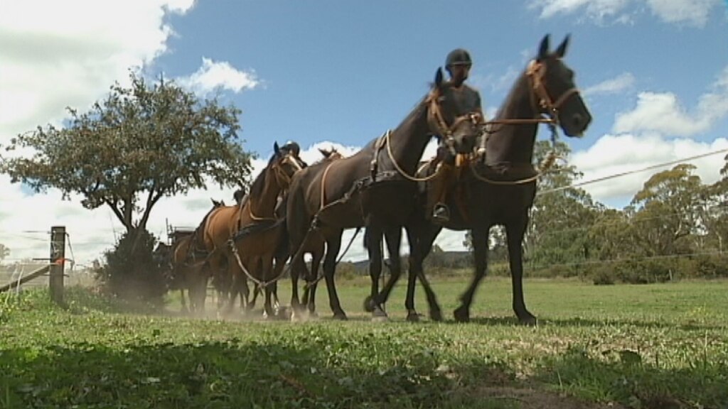 WWI centenary Horsedrawn 18pounder artillery piece and gun carriage