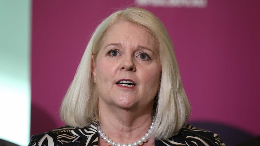 Karen Andrews speaks to the media with a pink banner behind her