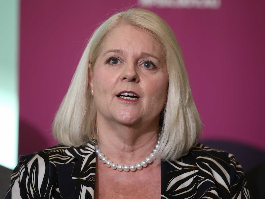 Karen Andrews speaks to the media with a pink banner behind her