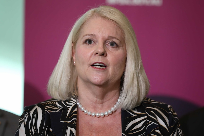 Karen Andrews speaks to the media with a pink banner behind her