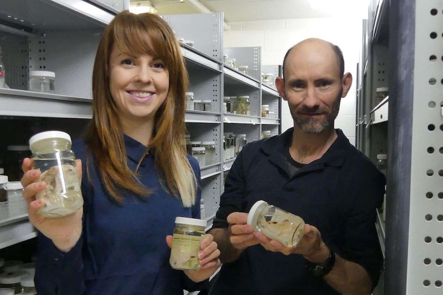 Scientists look at the camera while holding fish specimen in jars