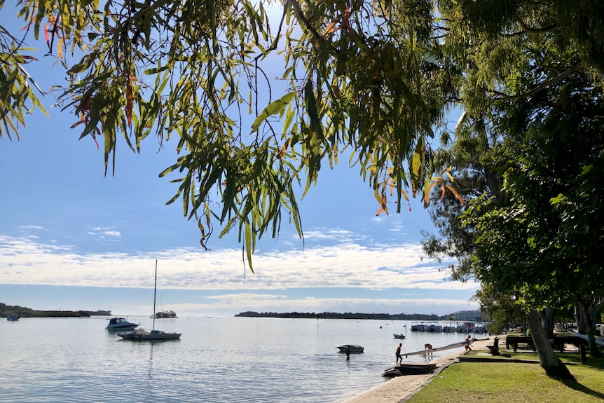 Looking under the leaves of trees to boats in the beautiful Noosa river.