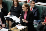 A Caucasian woman in a pink top and black jacket, speaks at the podium of parliament, with her party sitting behind her.