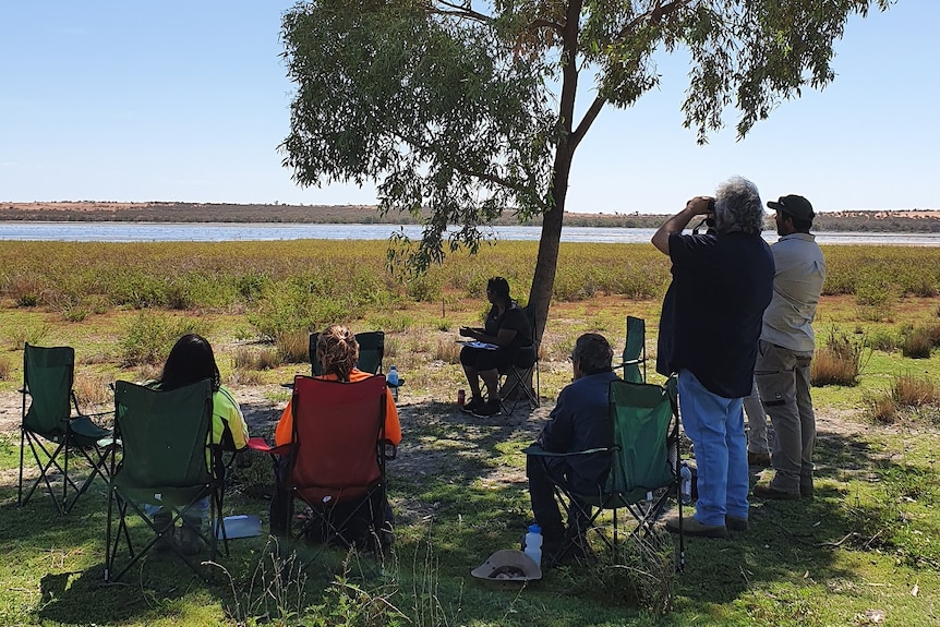 People are sitting under a tall tree, looking out to a lake.