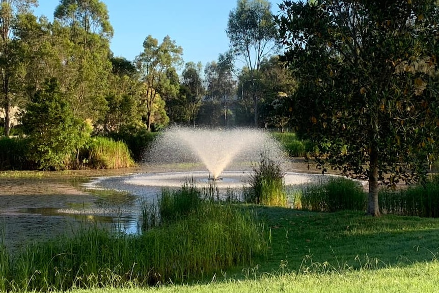 The pond at Folkestone Terrace, Stanhope Gardens (Feb 2022)