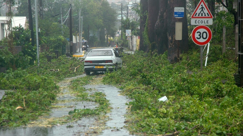 A car negotiates fallen trees in Martinique after the area suffered the force of Hurricane Dean.