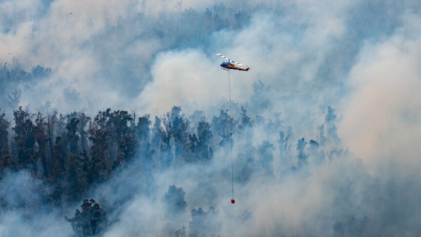 A helicopter flies through smoke over a burning forest.