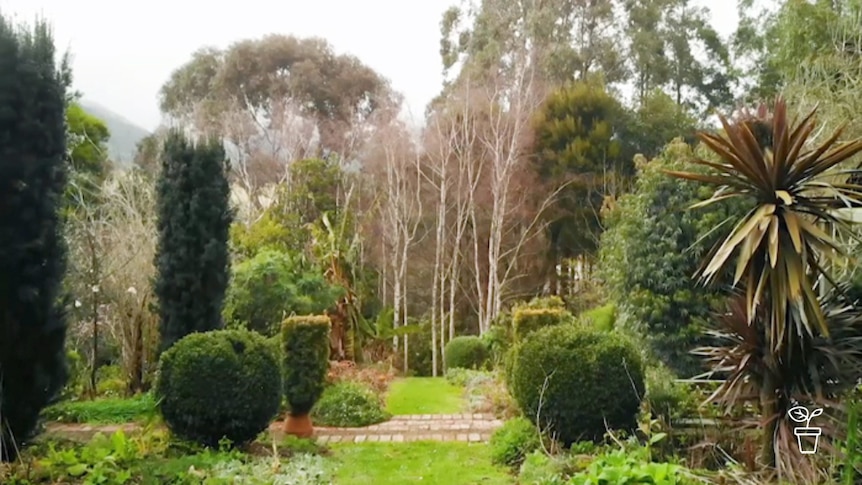 Large private garden filled with a range of different coloured trees and plants