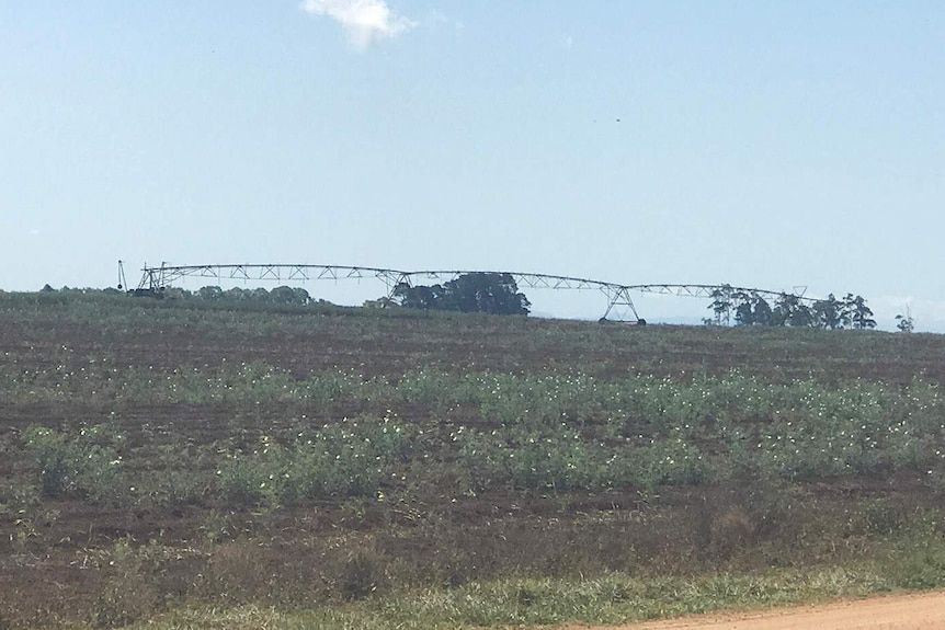 A rural property with an irrigator in the background