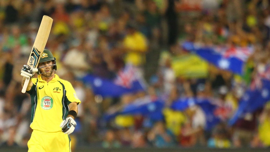 Glenn Maxwell salutes crowd after 50 at MCG