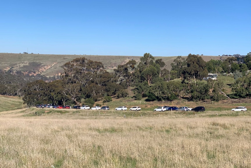 A brown and green field sits in front of a country road that is busy with cars on a clear and sunny day.