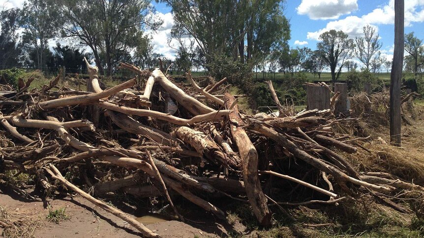 Citrus grower Ken Roth estimates up to 500 tonnes of flood debris needs to be removed from his property at Gayndah