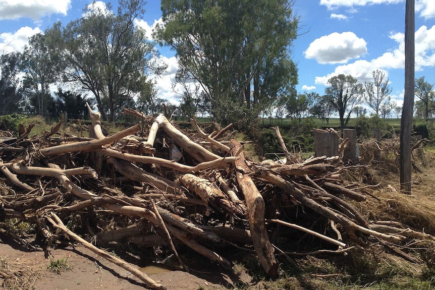 Citrus grower Ken Roth estimates up to 500 tonnes of flood debris needs to be removed from his property at Gayndah