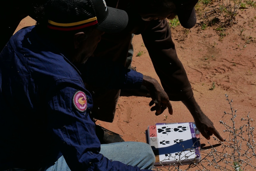 Two Aboriginal ranger use learning card to help identify animal tracks in the sand.