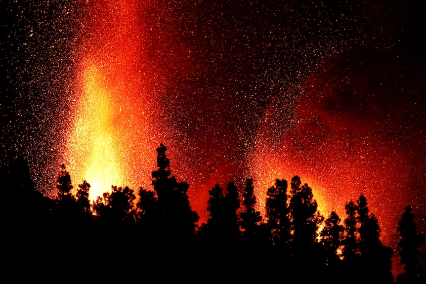 주황색 용암이 나무 꼭대기에서 분출하는 동안 나무는 붉은 하늘에 그림자를 드리웁니다.