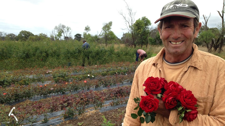 Bryan Wagner holds a bunch of Gallipoli Centenary Roses