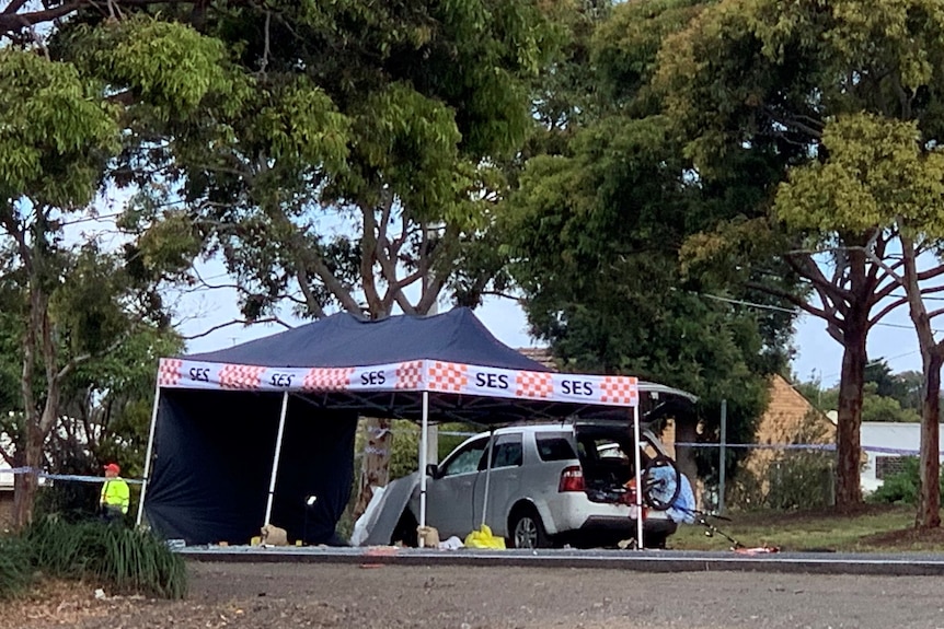An SES tent and a white car at a crime scene on a highway, with trees in the background.