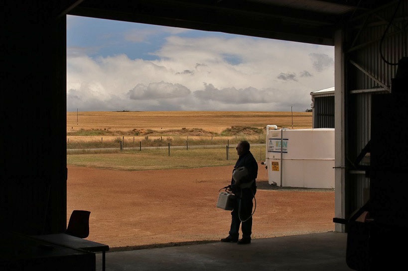 A man looks out of a large tin shed to the sunny property outside.