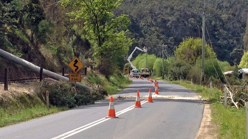 Aurora crews fix powerlines after a tree brings them down at Boyer in southern Tasmania