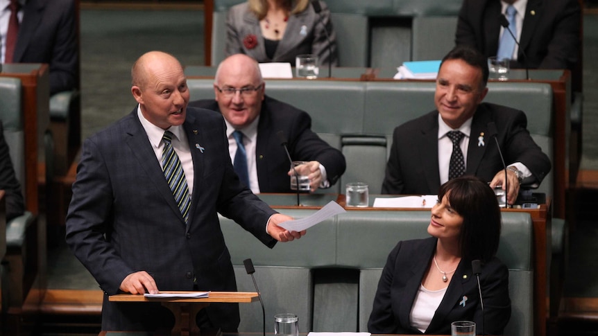 Tasmania's "three amigos" Federal MPs