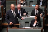 Tasmania's "three amigos" Federal MPs