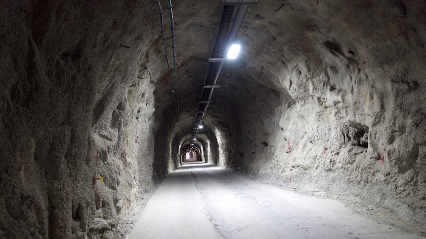 An underground tunnel leads off into the distant, lit by an occasional fluorescent light.