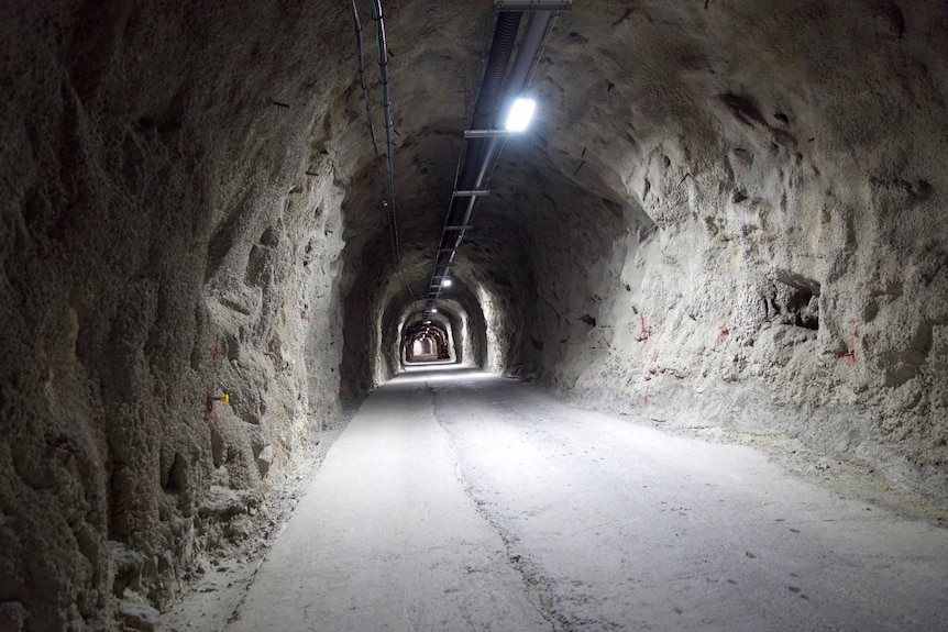 An underground tunnel leads off into the distant, lit by an occasional fluorescent light.