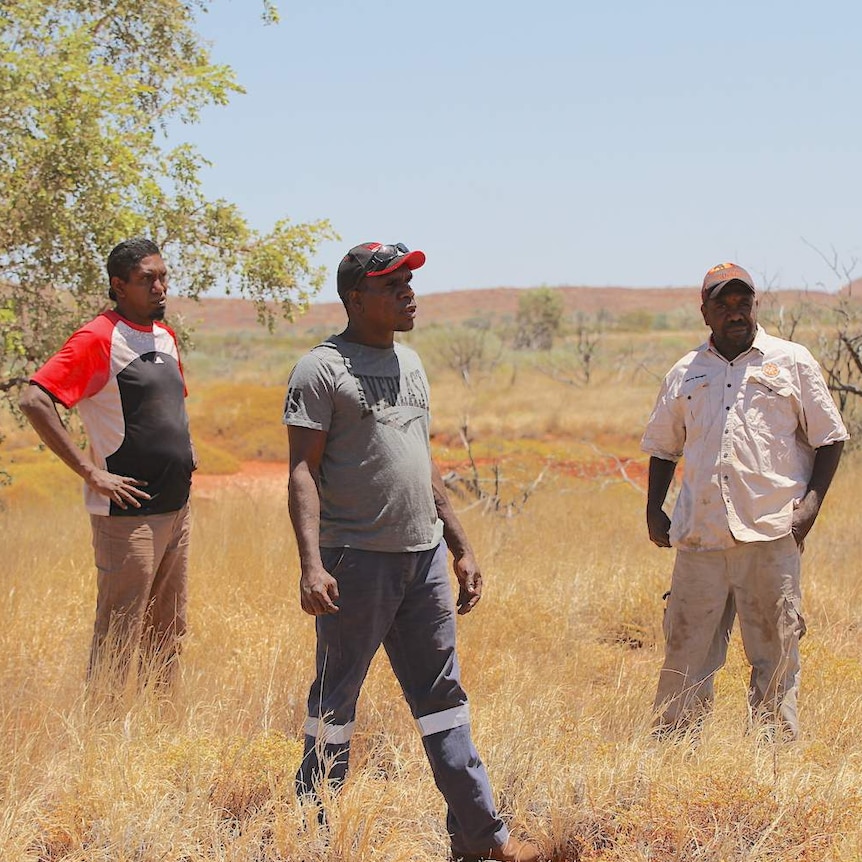 Three Indigenous men, one in a ranger's uniform stand amid scrub in an outback landscape[image: Parnngurrphone]