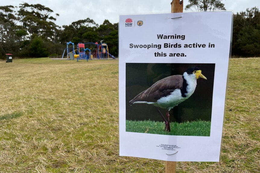 a sign at a park warns people about swooping birds