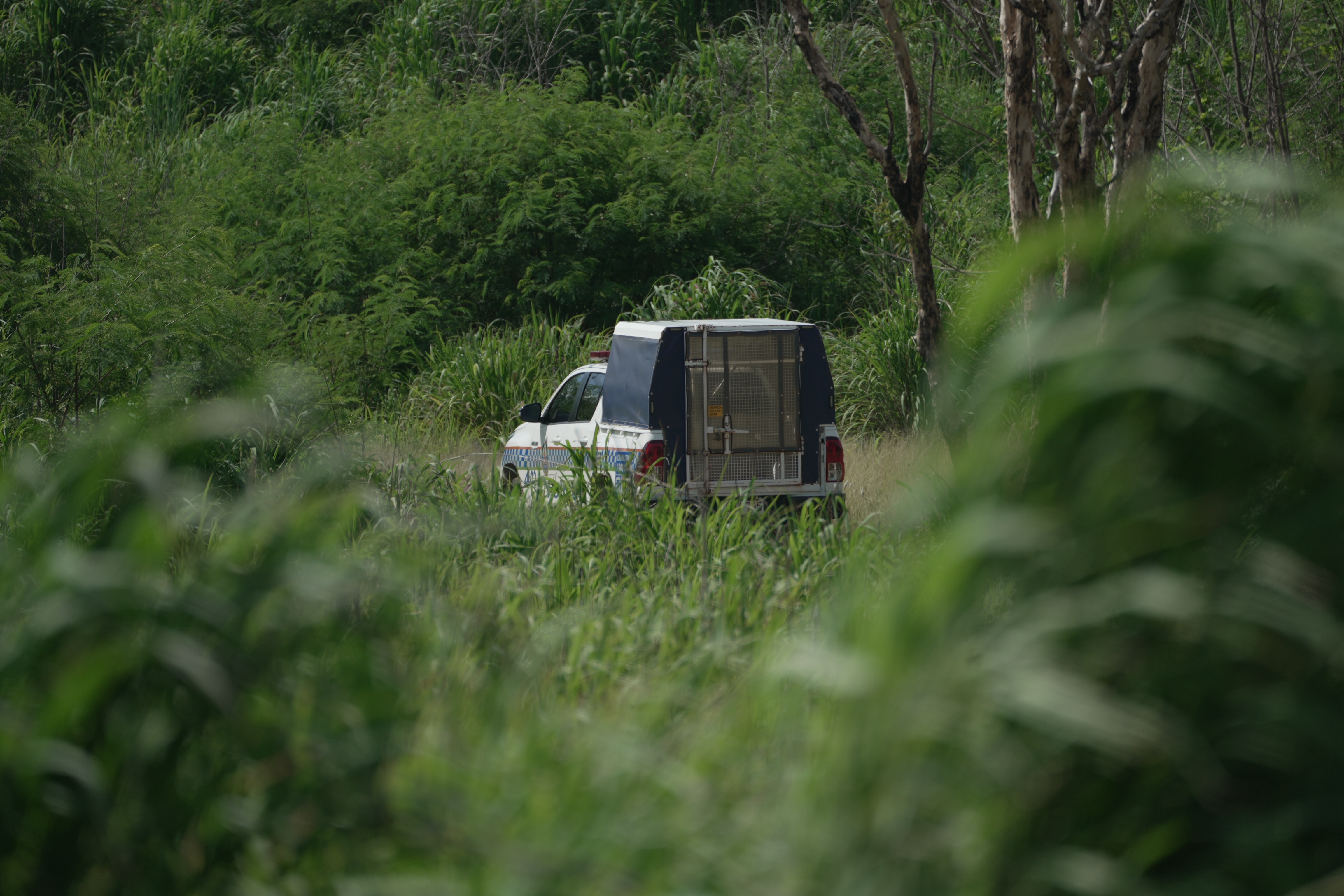 En primer plano arbustos verdes, a lo lejos un vehículo de la policía del NT y debajo un furgón policial.