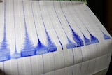 A seismologist looks at an earthquake reading