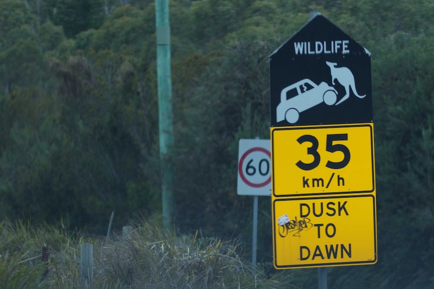 Wildlife hotspot speed restrictions