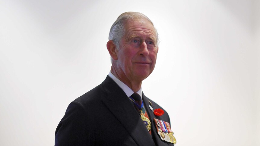 Prince Charles poses for a photo in front of a white backdrop.