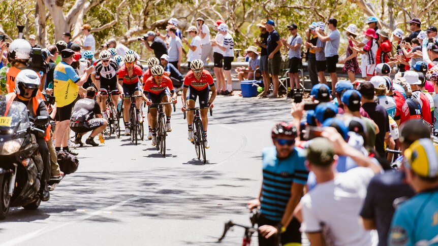 Spectators line Willunga Hill to cheer on cyclists.