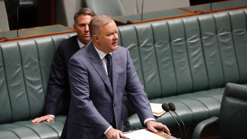 Anthony Albanese speaks in Parliament with Richard Marles in the background.