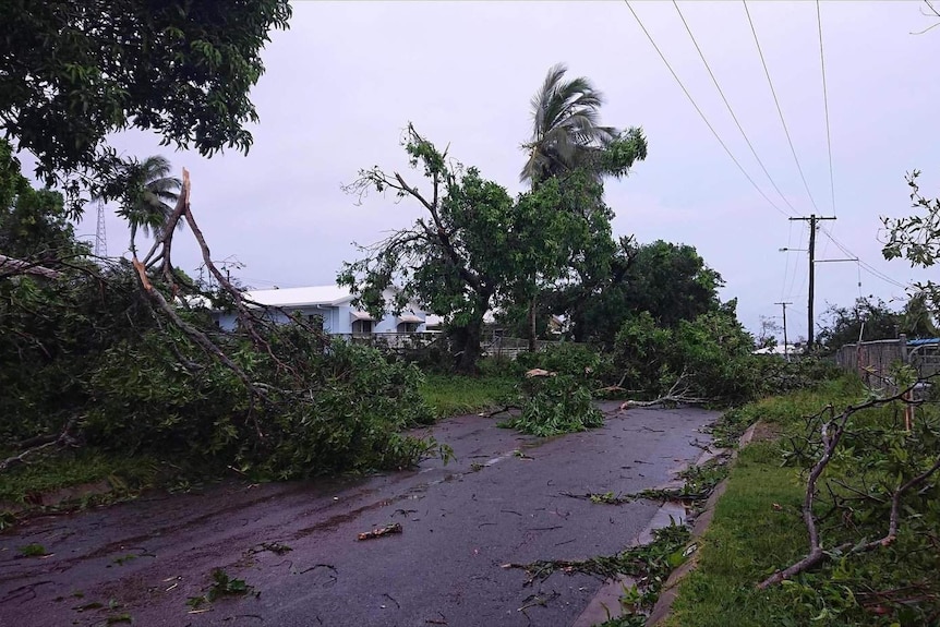 Large tree branches broken and strewn across a road.