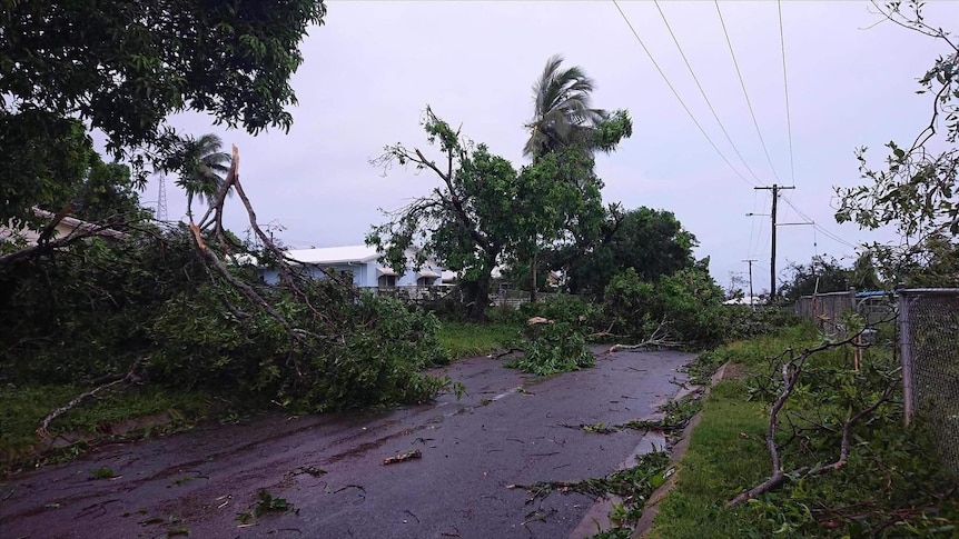 Large tree branches broken and strewn across a road.