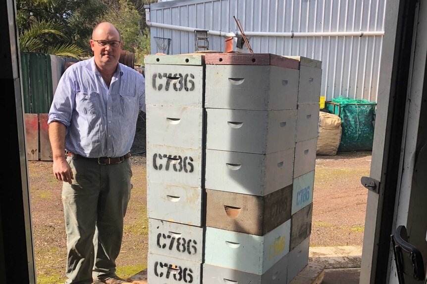 A man stands through a doorway, next to a a pile of boxes of his beekeeping equipment, a shed behind him.