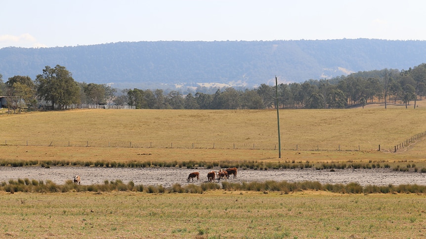 Dry dam on the Northern Rivers