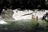 Josephine Falls near Cairns