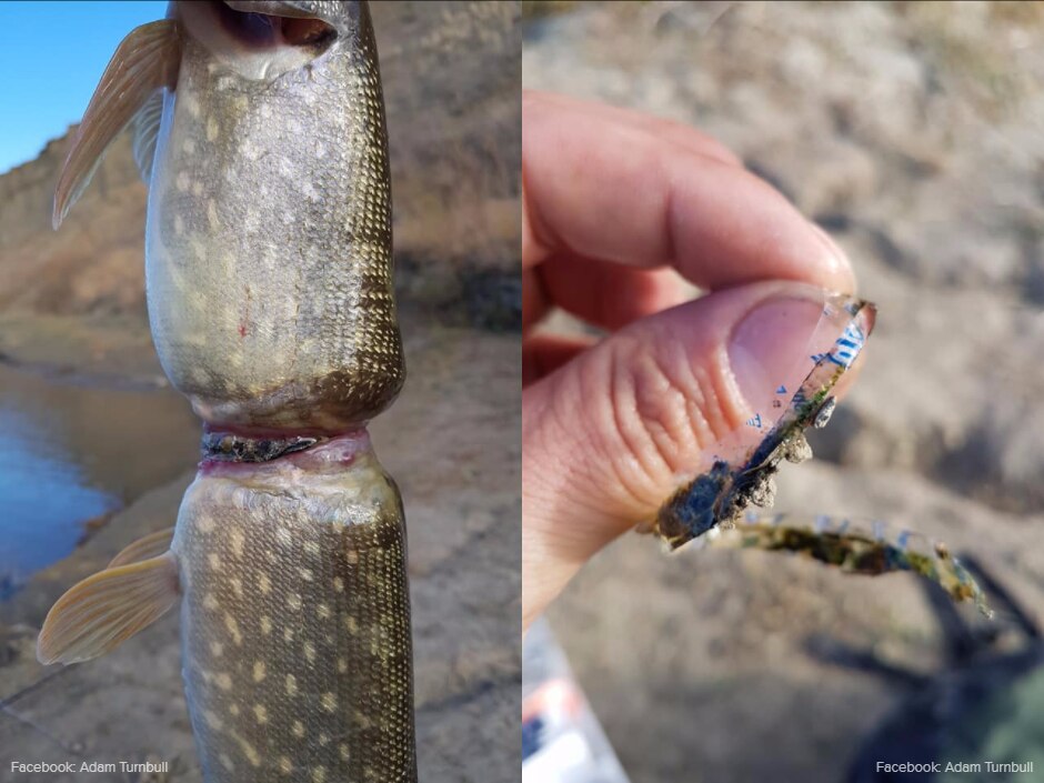 'Pick up your garbage' Angler pleads with litterbugs after finding