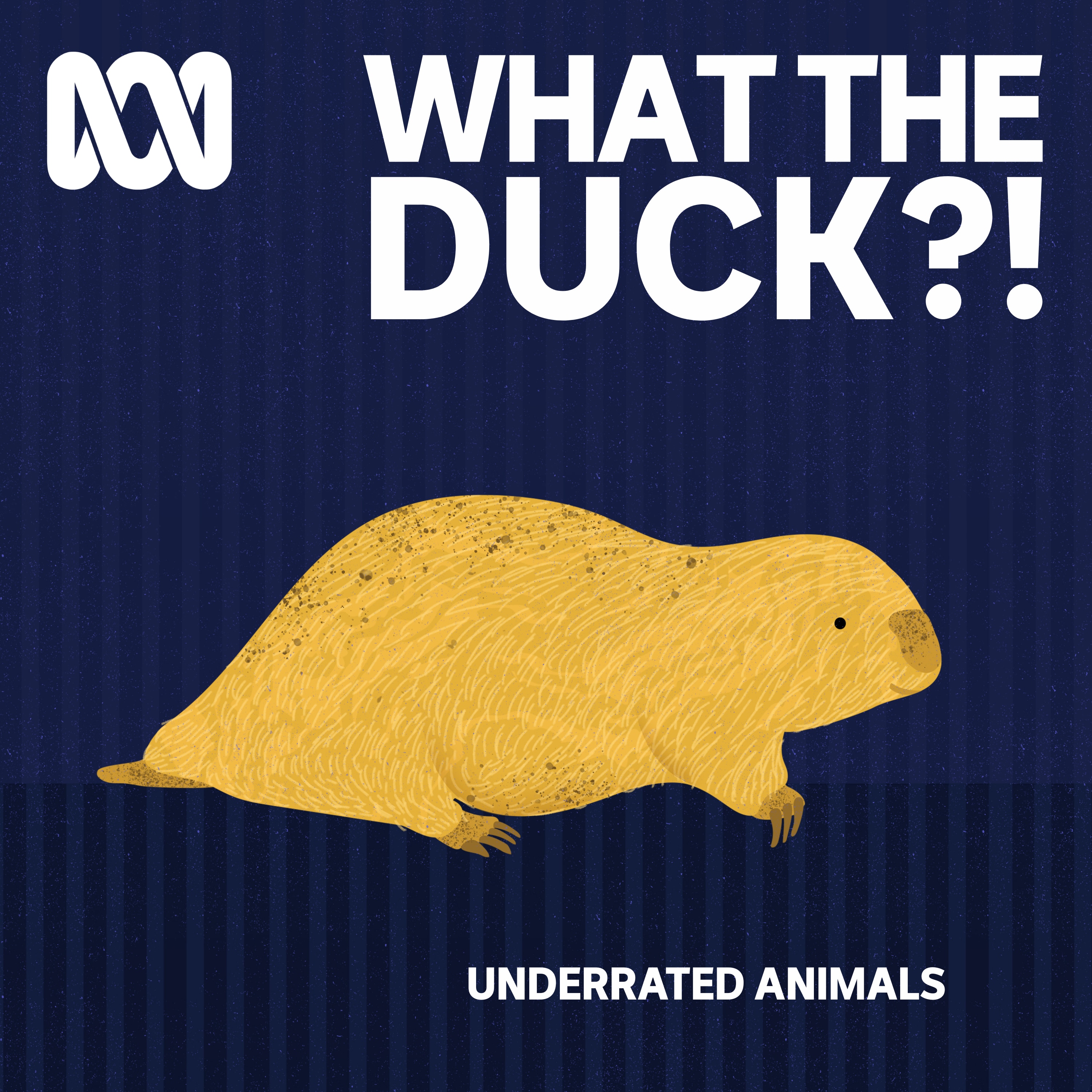 What The Duck?!