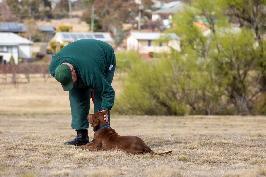 An inmate bends over to pat a dog